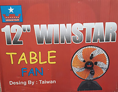 Winstar Table 12" Fan