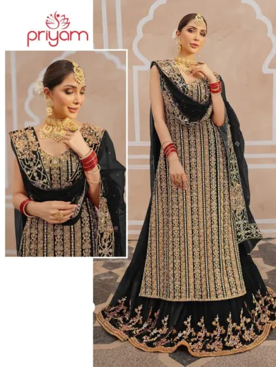 Women's Georgette Party Dress with Embroidered Skirt and Organza Orna