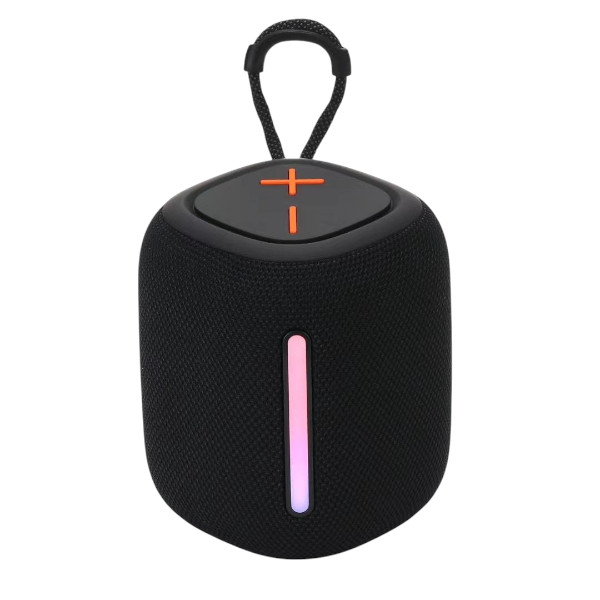 BS-55D Portable High-quality Wireless BT Speaker