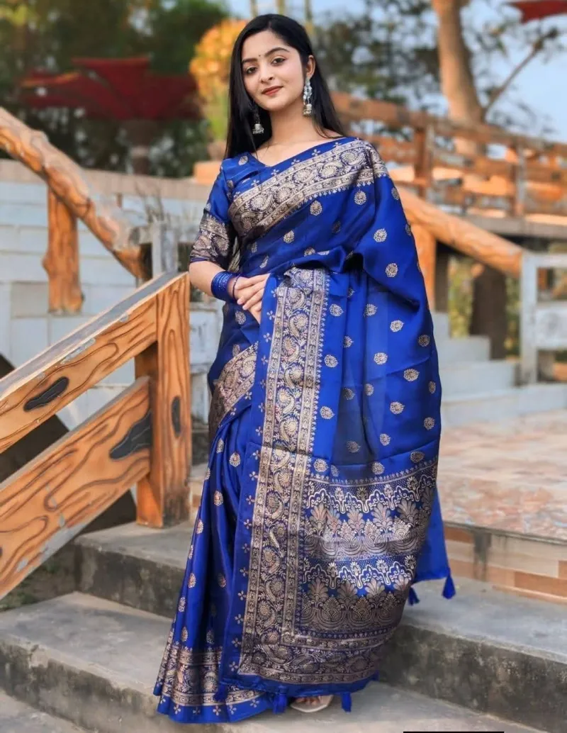 Modern Design Silk Saree with Screen Print and Blouse Piece
