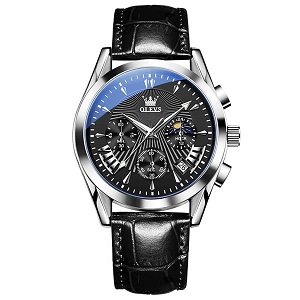 OLEVS 2876 Men’s Quartz Watch