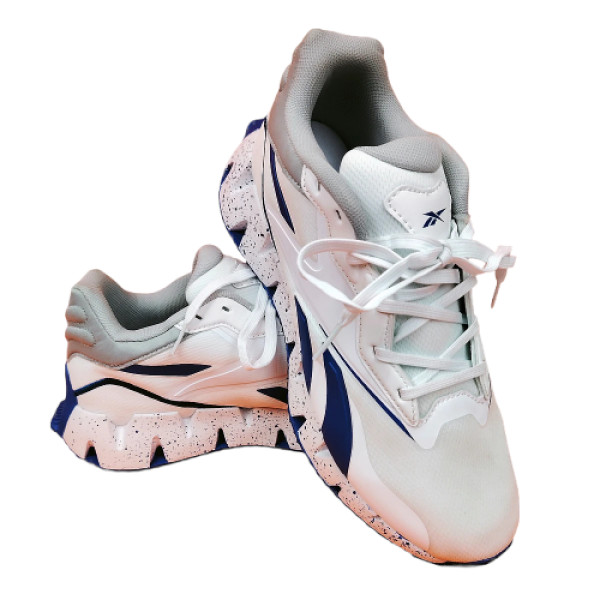 REEBOK ZIG DYNAMICA 4 -AES 210