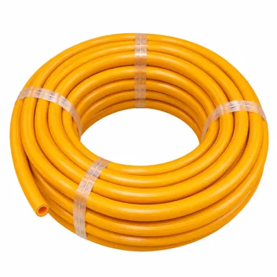 Flexible Gas Cylinder Hose Pipe for Kitchen & Home (6 Feet)