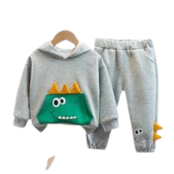 Baby Hoodie and Full Pant Set