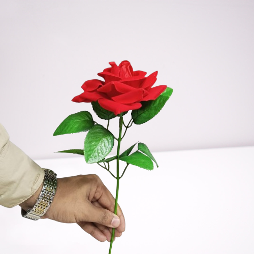 valentine's day  Gift Rose Flower