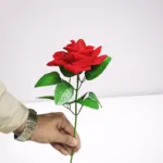 valentine's day  Gift Rose Flower