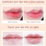 Laikou Strawberry Lip Mask