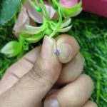 tiny crystal Circel Nose pin For Women ( Sigle pcs)