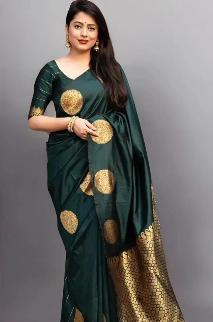 Silk Saree with Afsan Screen Print and Blouse Piece, 6 Colours