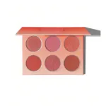 Sheglam Floral Flush Blush Palette - Cottage Core Garden (China)