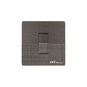 NT blu-ray Chrome Gray 1 GANG 2 Way Switch