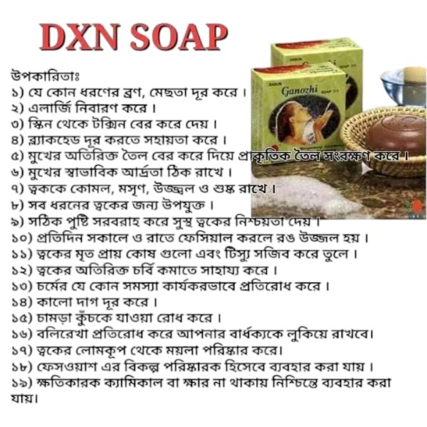 DXN Ganozhi Soap