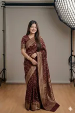 Silk Screen Print Saree with Matching Blouse Piece, 6 Colours