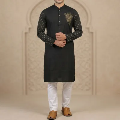 Stylish Premium Quality Panjabi