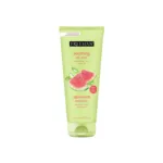 Freeman Facial Watermelon + Aloe Cooling Gel Mask 175ml (UAE)