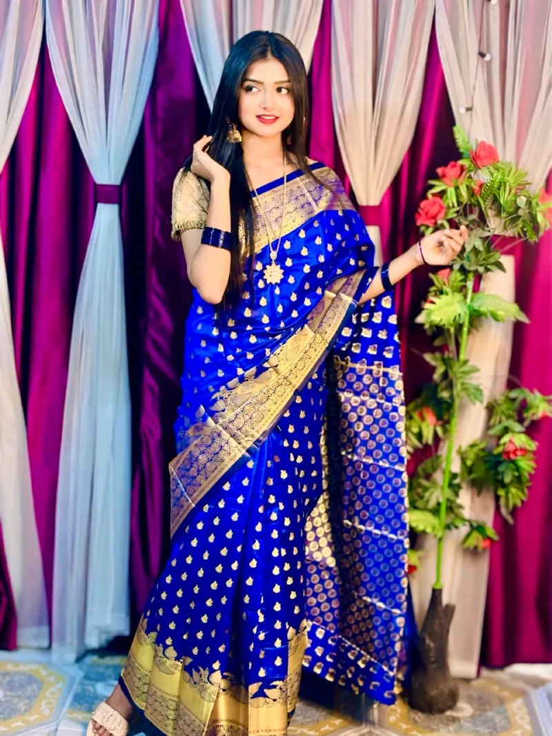 Silk Katan Banarasi Saree with Golden Zari Work, 6 Colours
