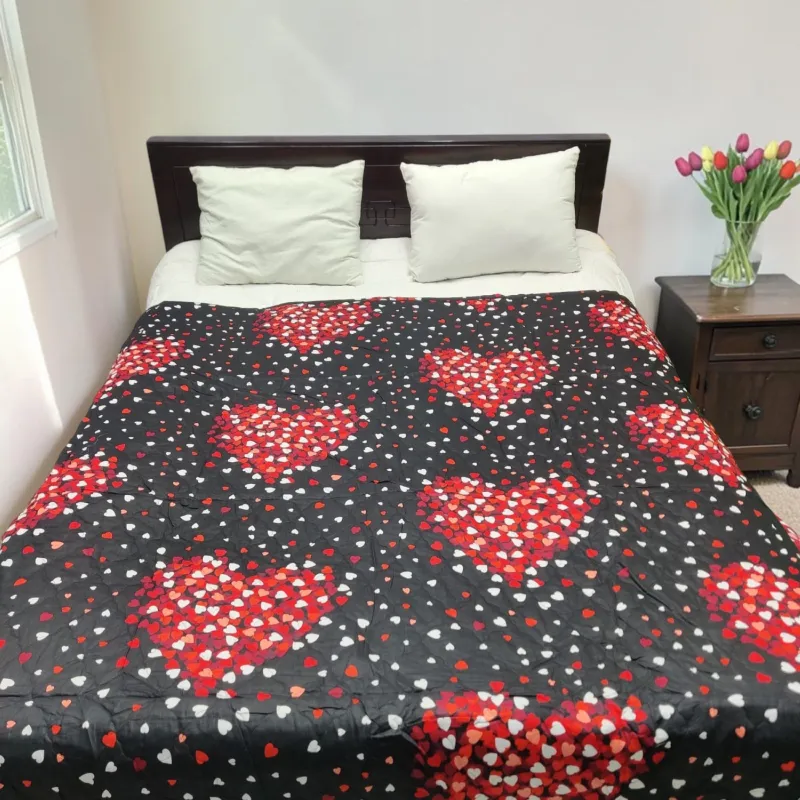 Soft Twill Cotton AC Katha Light Quilt for Bed, 6 Colours