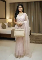 Embroidered Organza Saree for Party and Wedding, 6 Colours