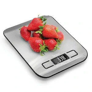 DMI Kitchen Digital Scale