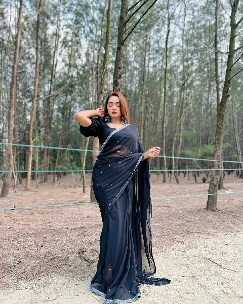 Main materials georgate stone saree