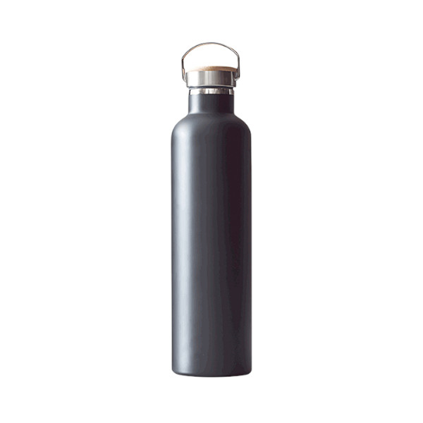 Thermo Travel Flask-Radiant 750 ML Assorted