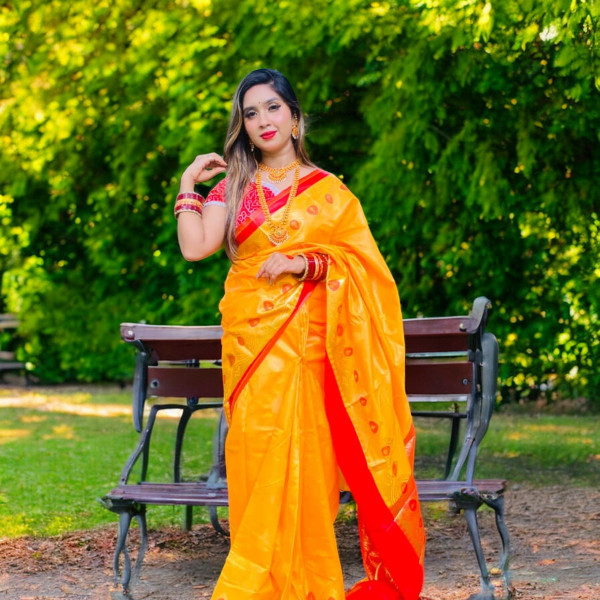 Elegant Silk Katan Sari