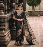 Dhupian Saree with Afsan and Block Print, Blouse Piece