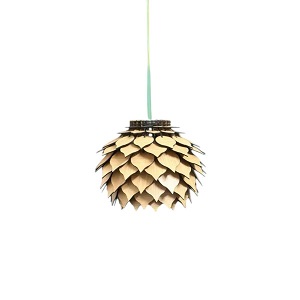 Celling lamp 3 light Combo