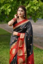 Soft Silk Katan Saree with Jacquard Border and Blouse Piece