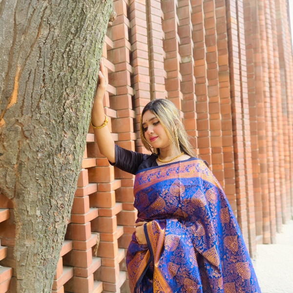 Pure Silk Katan Saree