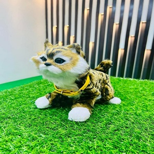 Sensor System China Cat Doll