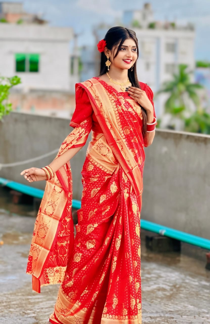 Jacquard Border Soft Silk Katan Saree for Reception Wear