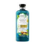 Herbal Essences Bio Renew Argan Oil of Morocco Shampoo, 400ml (France)